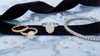 Looking for the Best Black Friday Diamond Deals?